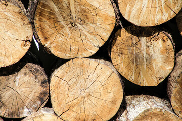 Naklejka premium stack of wood