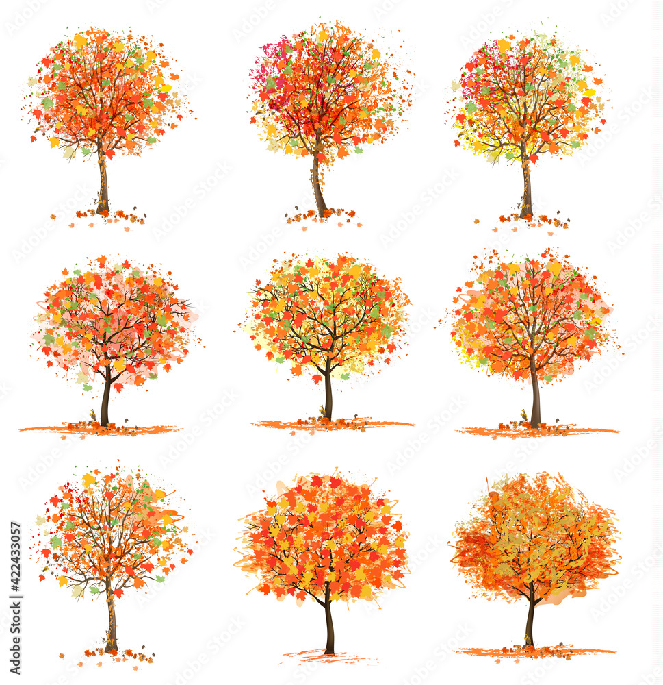 Poster big set of autumn inspired trees with colorful leaves. vector illustration.