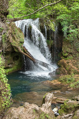 Vertical image of Vaioaga waterfall in Nerei - Beușnița Ravine National Park,Romania.