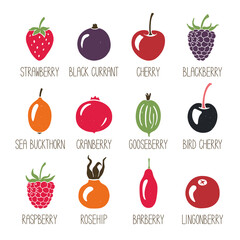 Set of berry icons with handwritten names isolated on transparent background. Colorful berries original design. Vector shabby hand drawn illustration