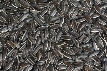 Sunflower seeds background.  Top view