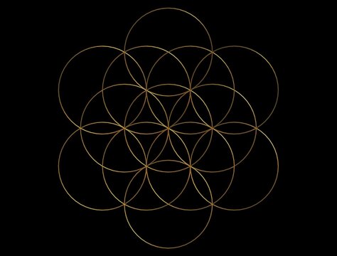 egg of life made of golden lines, sacred geometry