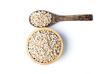 Job’s Tears isolated on white background