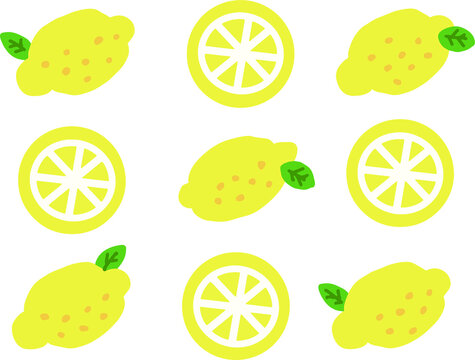 4 634 Best 輪切り Images Stock Photos Vectors Adobe Stock