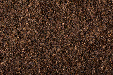 Peat moss soil texture background - obrazy, fototapety, plakaty