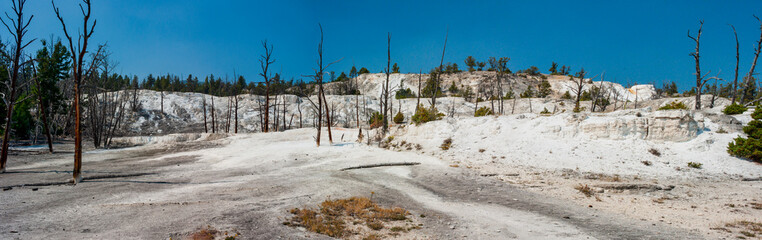 Cavern Terrace a dead terrace in Mammoth Hot Springs Yellowstone National Park