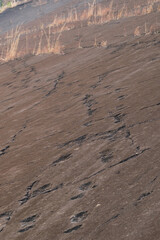Steep wall with dinosaur foot prints,Archosaur Footprints Cliff