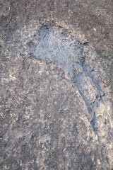 Archosaur Footprints Cliff, Ancient Dinosaur footprint on a rock