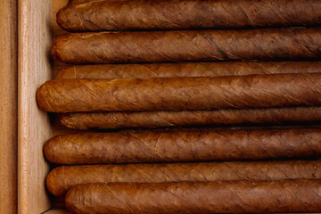 Cigars in humidor on the wooden background