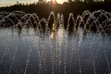 Water splashes at sunset, in the background light.