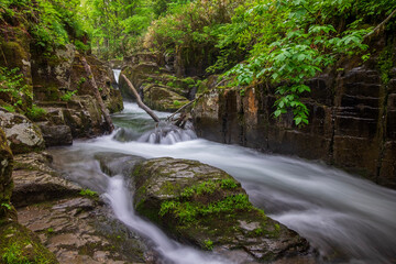 新緑と激流の滝 美深町仁宇布の十六滝