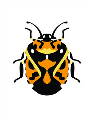 harlequin bugs. flat vector illustration of bugs. insects and garden concept animated in colorful theme. cartoon illustration of nature isolated on white background.