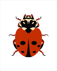 spotted amber ladybird beetle. flat vector illustration of bugs. insects and garden concept animated in colorful theme. cartoon illustration of nature isolated on white background.