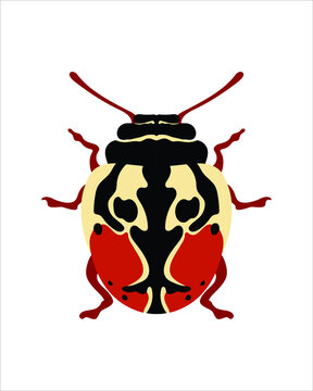calligrapha chevrolat. flat vector illustration of bugs. insects and garden concept animated in colorful theme. cartoon illustration of nature isolated on white background.