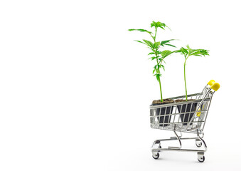 Cannabis clone seedlings in shopping cart, purchase and delivery of live Marijuana