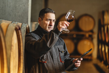 Adult man winemaker at winery checking glass looking quality while standing between the barrels in...
