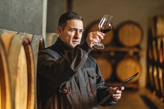 Adult man winemaker at winery checking glass looking quality while standing between the barrels in the cellar controlling wine making process - real people traditional and industry wine making concept