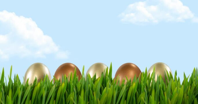 Animation of gold and bronze easter eggs in grass over blue sky
