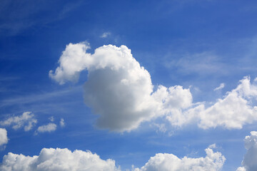 Naklejka na ściany i meble White fluffy cloud on blue sky background