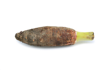 Taro root on white isolated background with clipping path