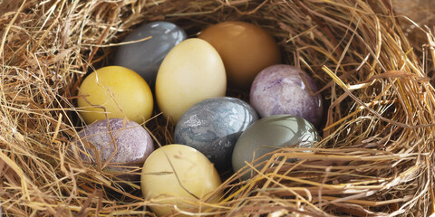 Easter composition - colorful Easter eggs painted with natural dyes in a nest of hay, horizontal banner