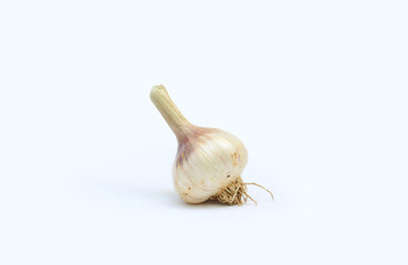 Fresh Garlic bulb isolated on white background