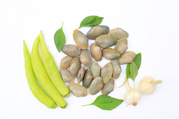 Fresh baby clams or venus shell and ingredient prepared materials for cooking on white background