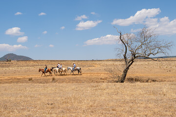Las personas están paseando en caballos en el valle de Tapalpa Jalisco. © jesuschurion57