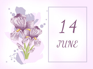 june 14. 14th day of the month, calendar date.Two beautiful iris flowers, against a background of blurred spots, pastel colors. Gentle illustration.Summer month, day of the year concept