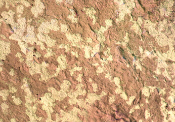 painted concrete wall texture. grunge background for your design