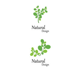 Leaf icon Vector Illustration design Logo template