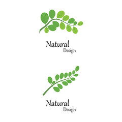 Leaf icon Vector Illustration design Logo template