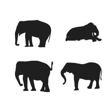 elephant animal silhouette vector collection
