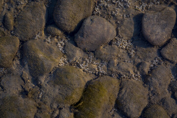 Air bubbles at the bottom of the river, like pearls.