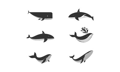 Whale set illustration vector design