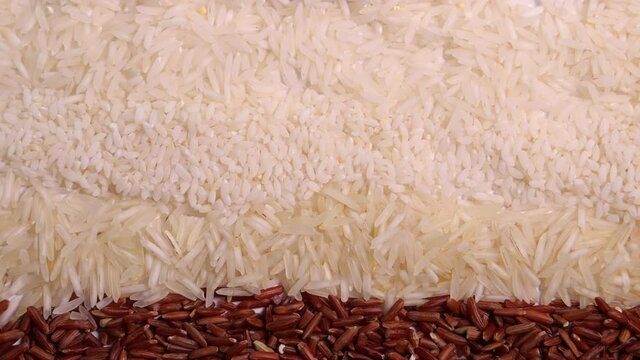Varity mix long grain basmati medium grain jasmine short grain pilaf risotto brown low glycaemic index GI rice in rows top view 