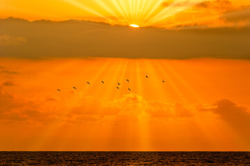 Inspirational Sunset Sun Ray Birds