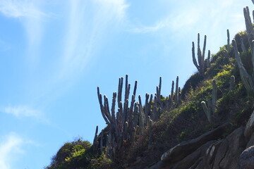 Praias de B&uacute;zios do Rio de Janeiro