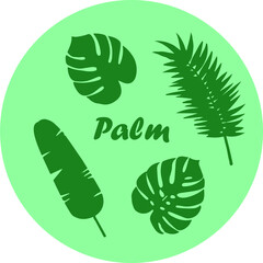 Set of palm leaves nature plant
