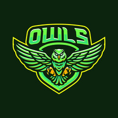 Owl mascot logo design illustration