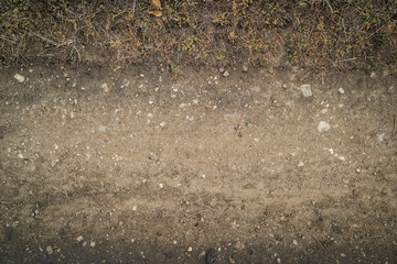 Soil. Ground texture. Soil background. Abstract nature pattern. Autumn. Dirt road