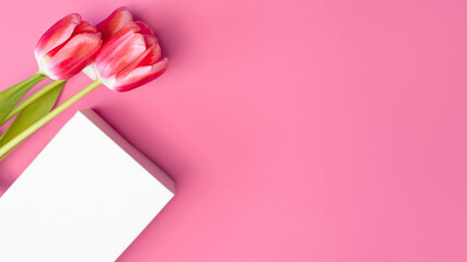Bunch of tulips flowers and white gift box on pink background. Flat lay, copy space. Layout with place for text.