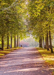 Kurpark in Bad Hall