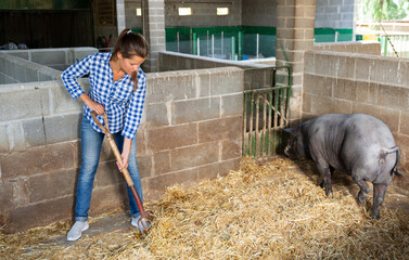 Portrait of female farmer feeding iberian pigs on farm. High quality photo - obrazy, fototapety, plakaty