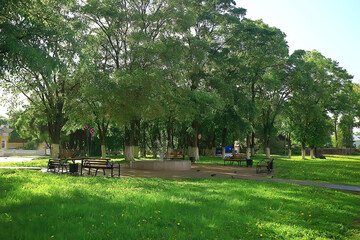 summer park landscape, green trees and walkway in the summer city park