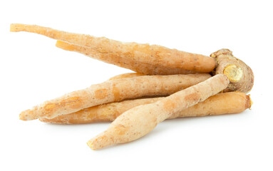 Fingerroot  vegetable isolated on white background