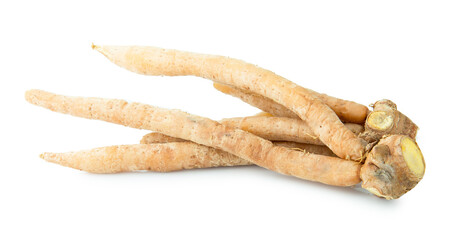 Fingerroot  vegetable isolated on white background