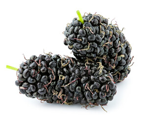 fresh mulberry isolated on white background