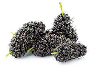 fresh mulberry isolated on white background