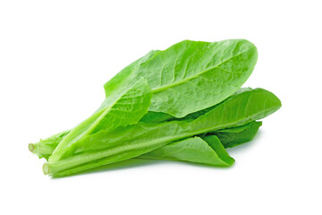 fresh green Lettuce vegetable  isolated on white background